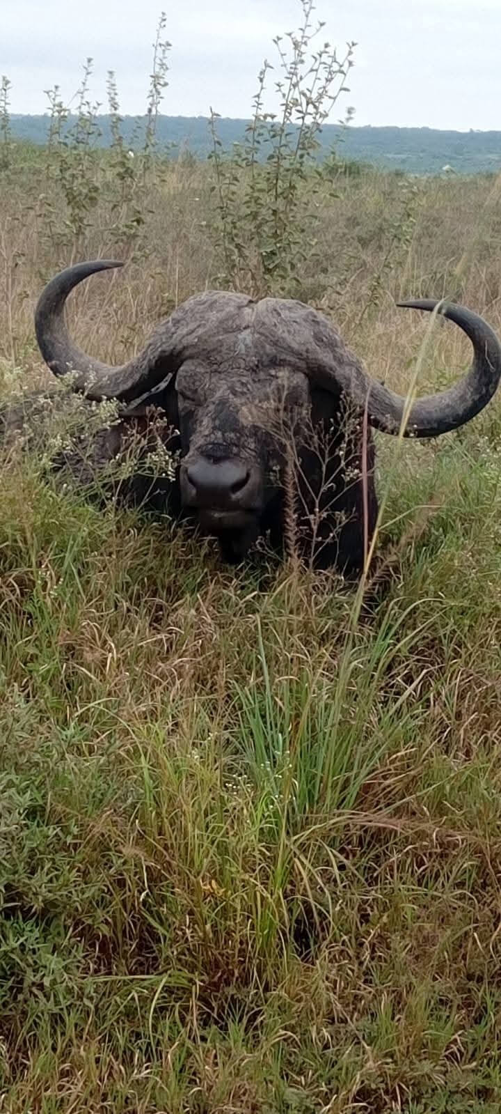 5 Giorni - Amboseli, Taita Hills e Tsavo