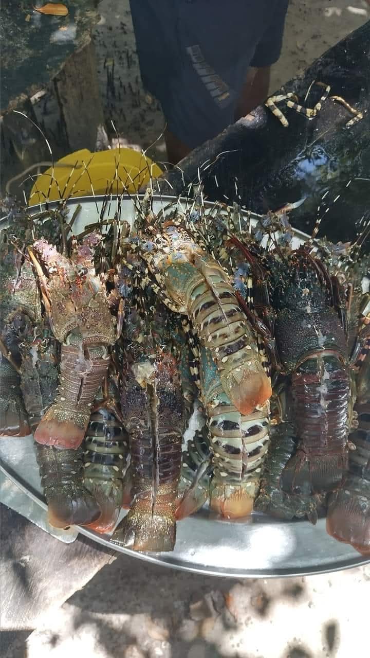 Crab Shack - Dabaso