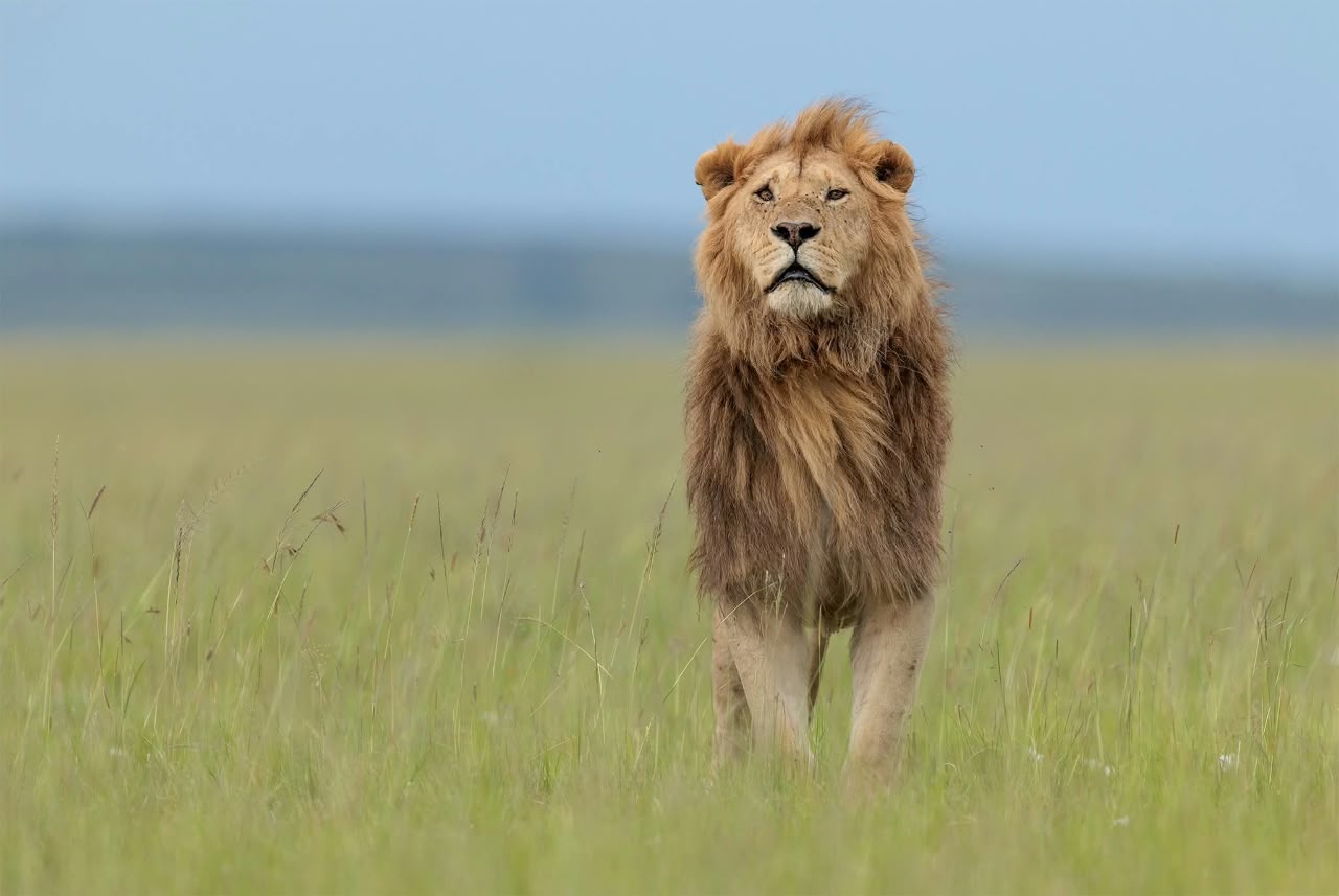 2 Giorni - Maasai Mara